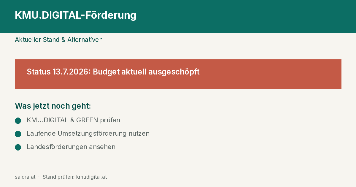 Grafik: KMU.DIGITAL-Förderstatus aktuell ausgeschöpft, Alternativen im Überblick